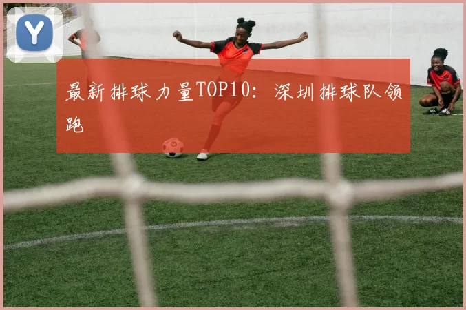 最新排球力量TOP10：深圳排球队领跑