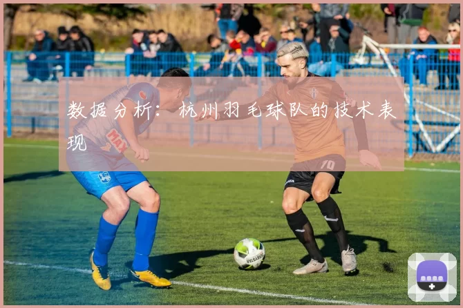 数据分析：杭州羽毛球队的技术表现