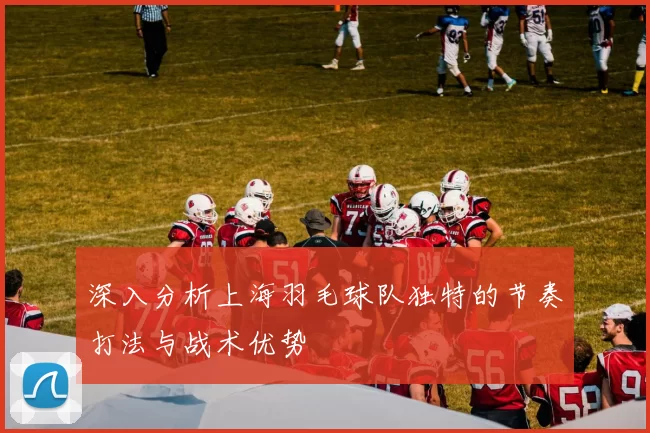 深入分析上海羽毛球队独特的节奏打法与战术优势