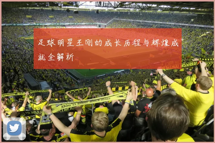 足球明星王刚的成长历程与辉煌成就全解析