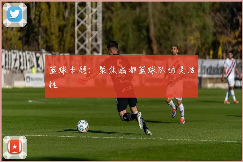 篮球专题：聚焦成都篮球队的灵活性