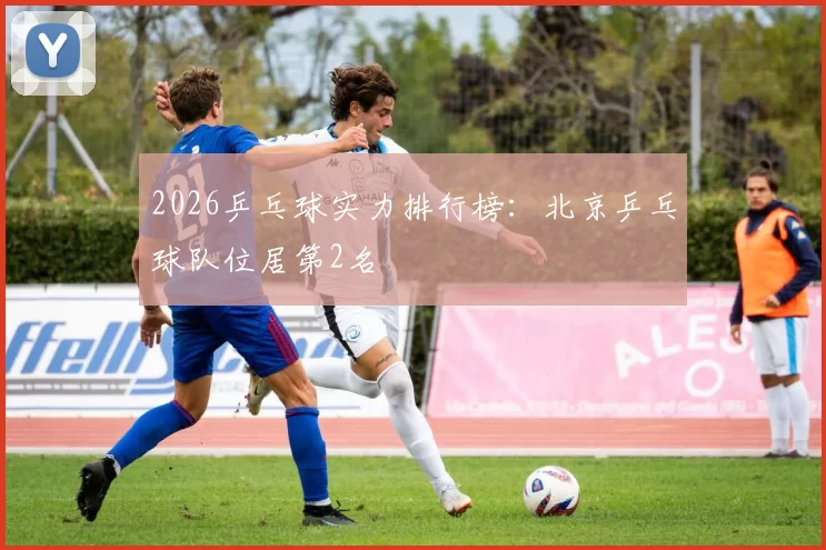 2026乒乓球实力排行榜：北京乒乓球队位居第2名