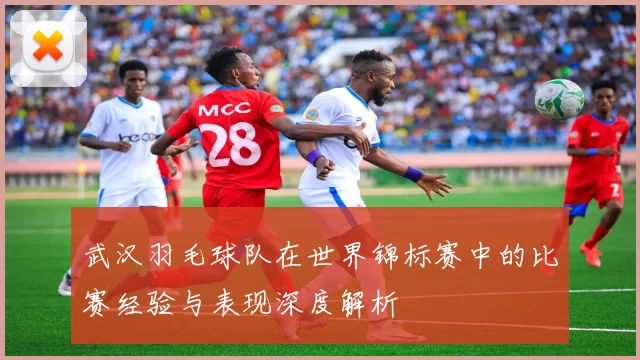 武汉羽毛球队在世界锦标赛中的比赛经验与表现深度解析