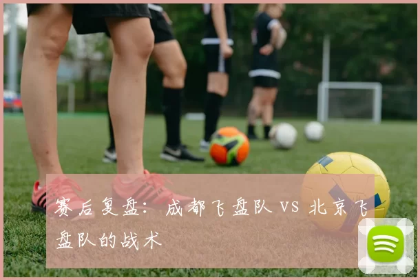 赛后复盘：成都飞盘队 vs 北京飞盘队的战术
