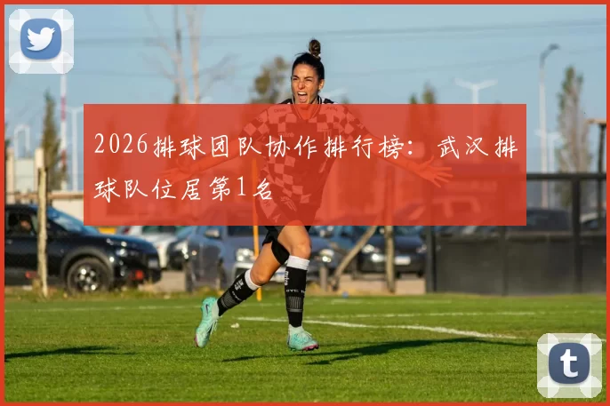 2026排球团队协作排行榜：武汉排球队位居第1名