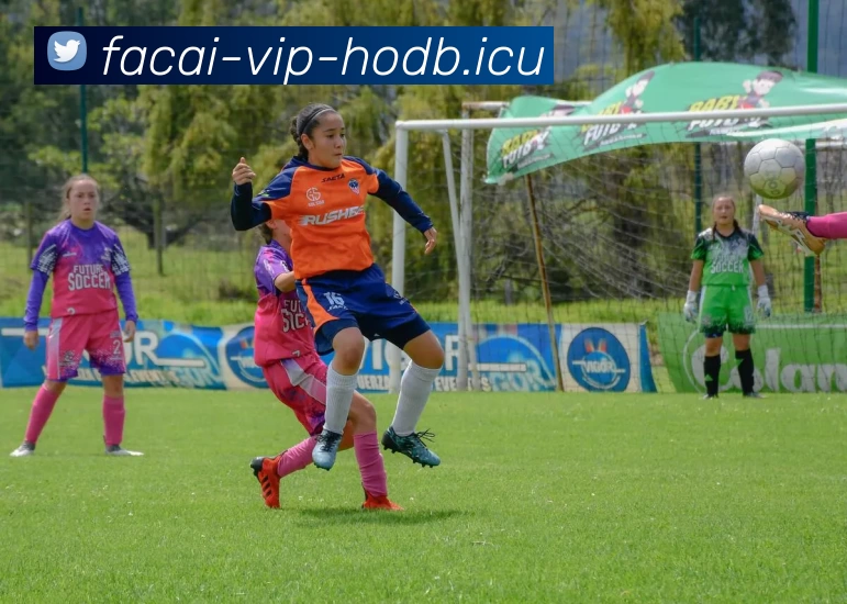 华体会体育服务体系