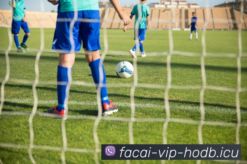 华体会体育注册APP 体育赛事宣传图